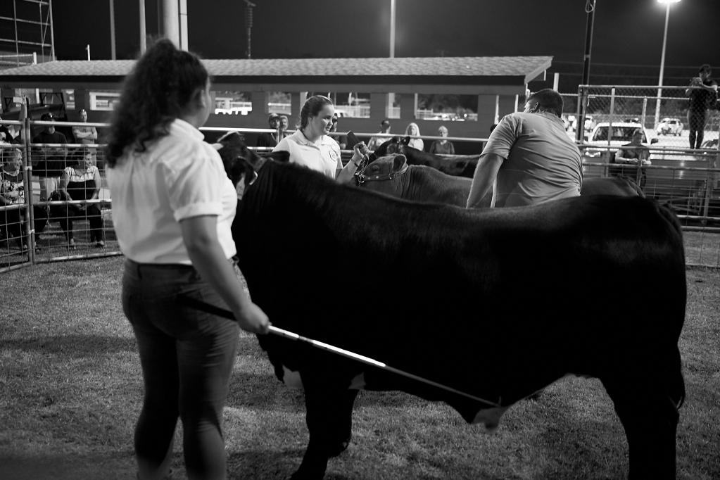 Kauai County Fair 2018 by Peter Adams.