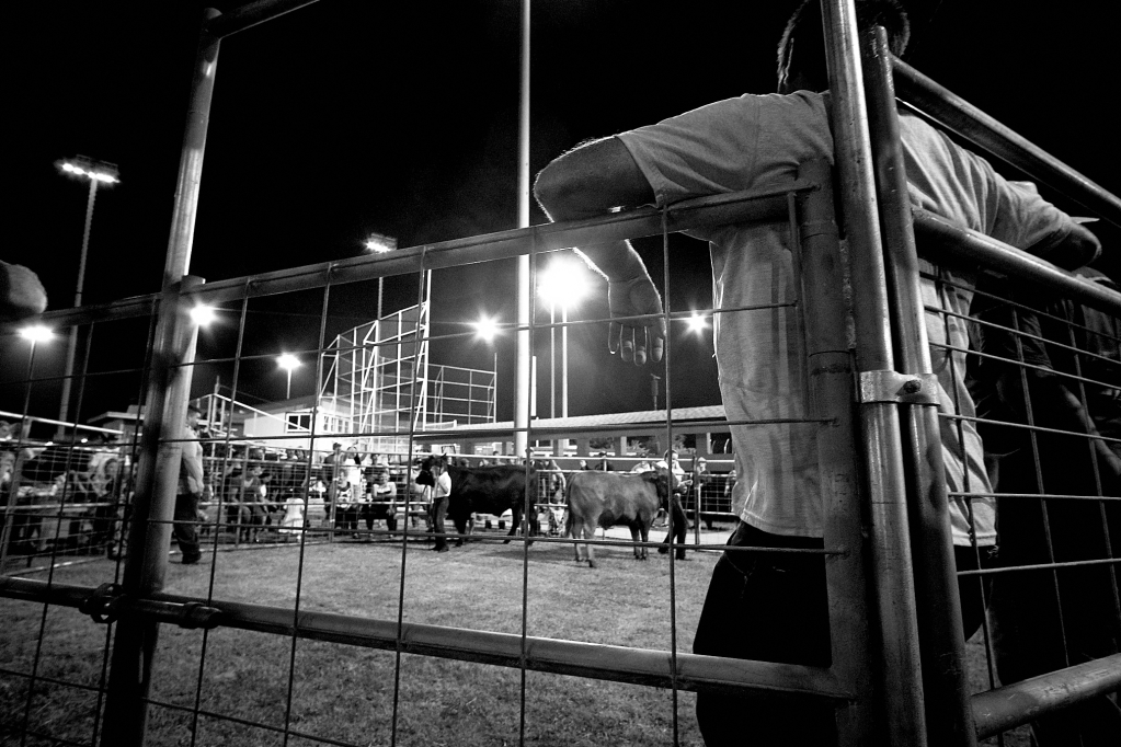 Kauai County Fair 2018 by Peter Adams.