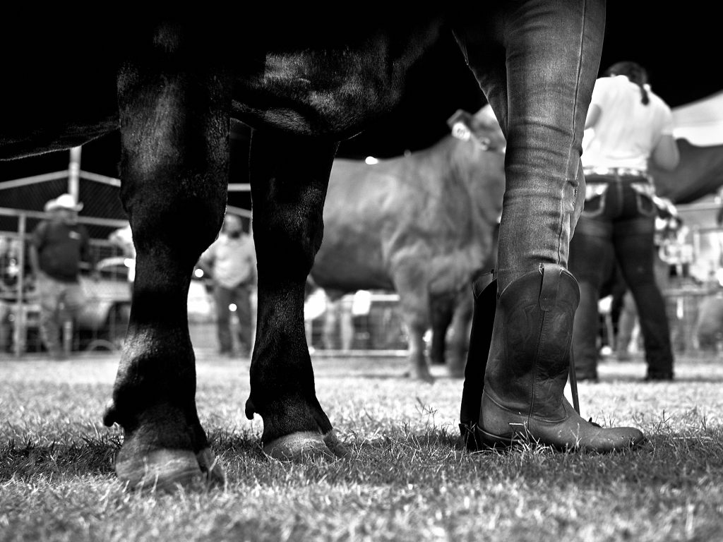 Kauai County Fair 2018 by Peter Adams.