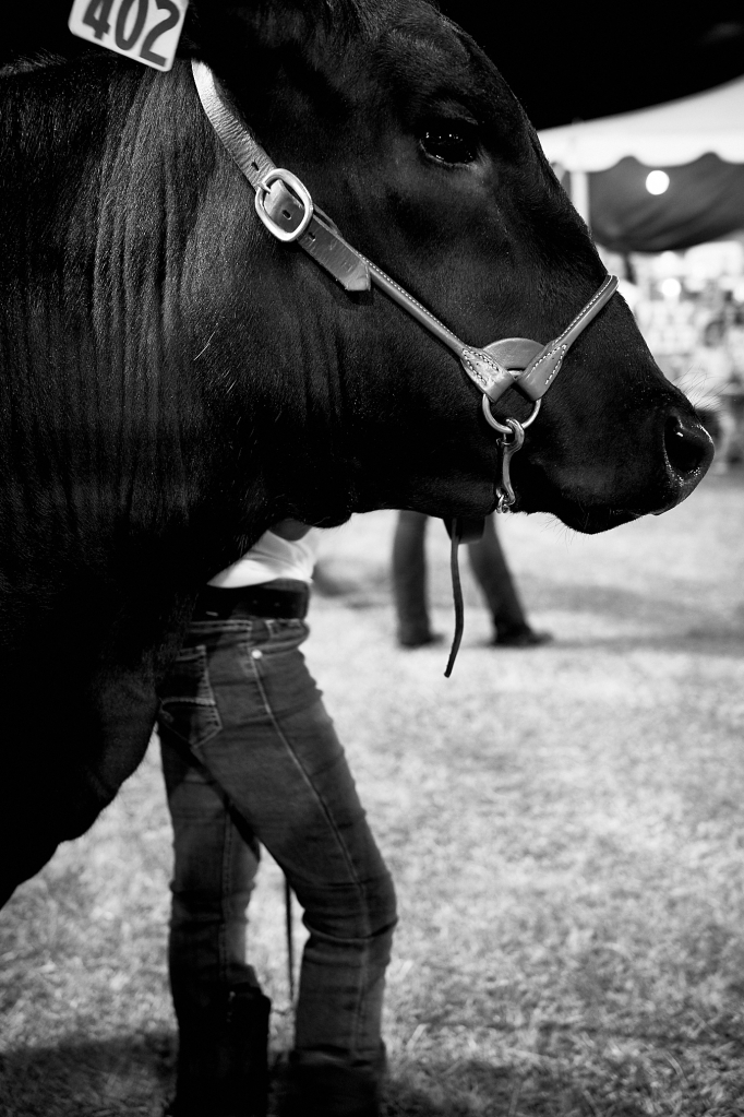 Kauai County Fair 2018 by Peter Adams.