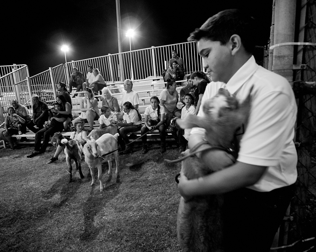 Kauai County Fair 2018 by Peter Adams.