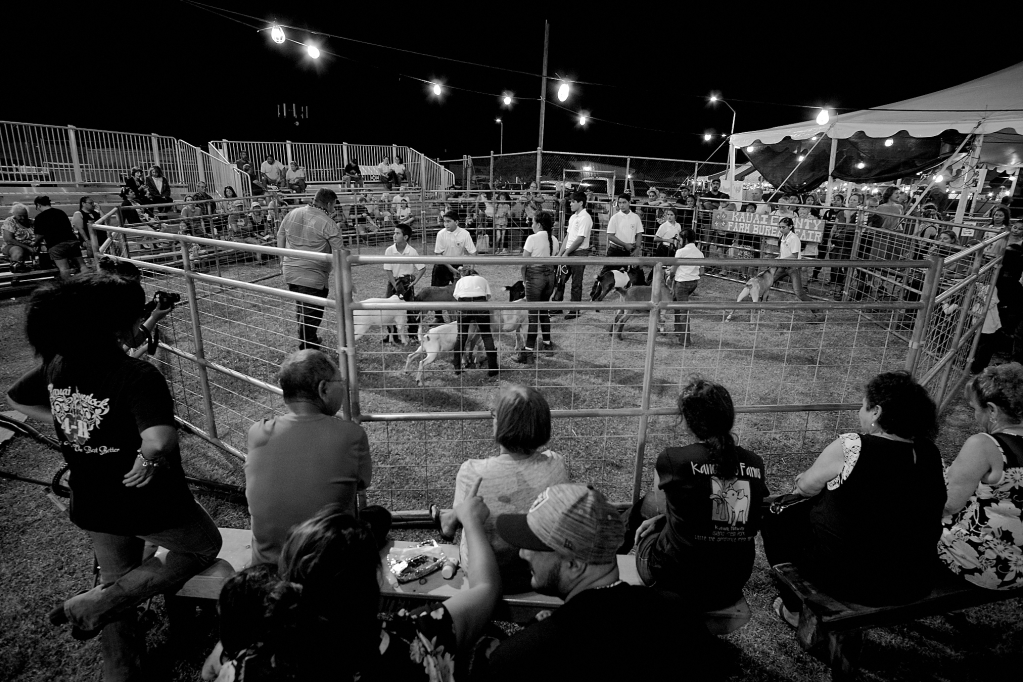 Kauai County Fair 2018 by Peter Adams.