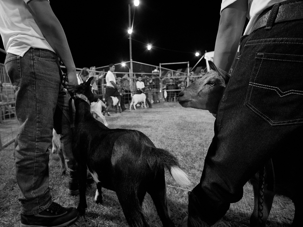Kauai County Fair 2018 by Peter Adams.