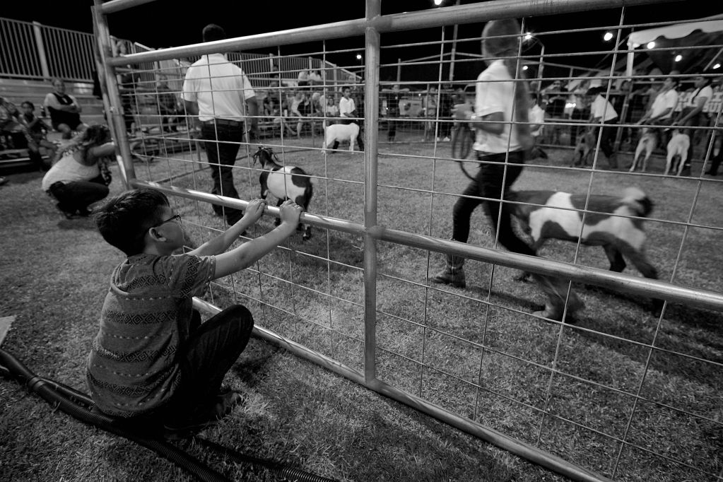 Kauai County Fair 2018 by Peter Adams.