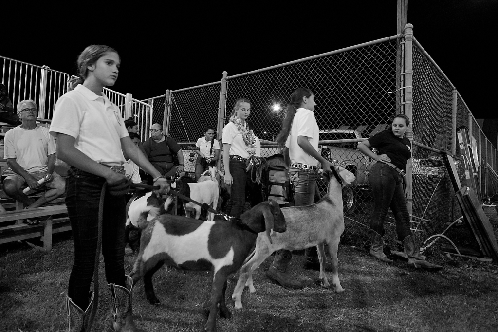 Kauai County Fair 2018 by Peter Adams.