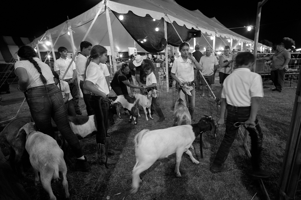 Kauai County Fair 2018 by Peter Adams.