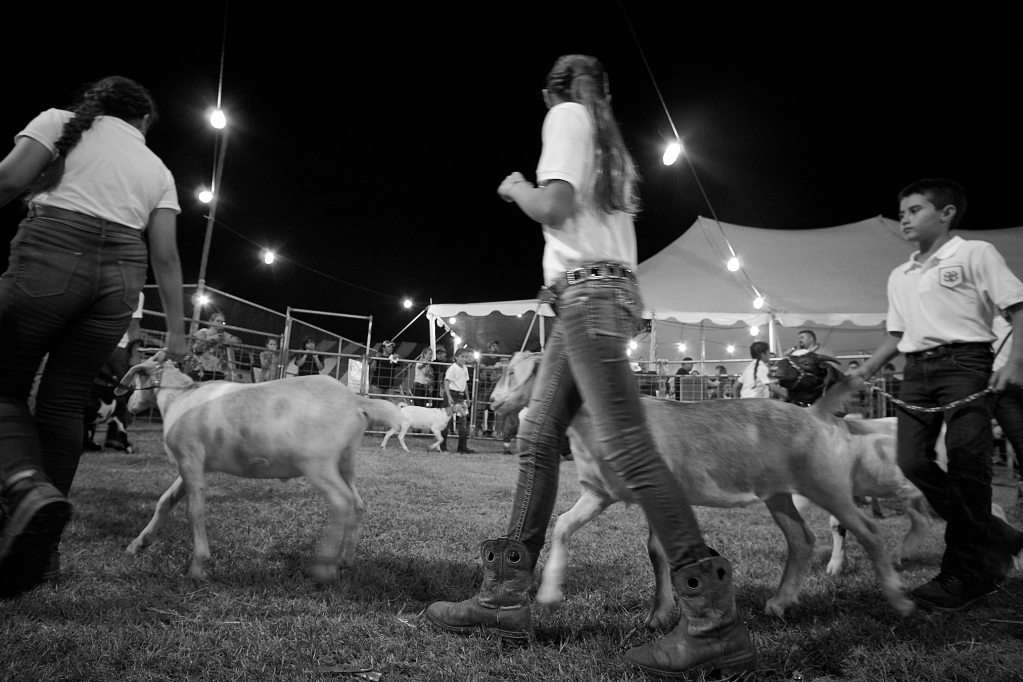 Kauai County Fair 2018 by Peter Adams.