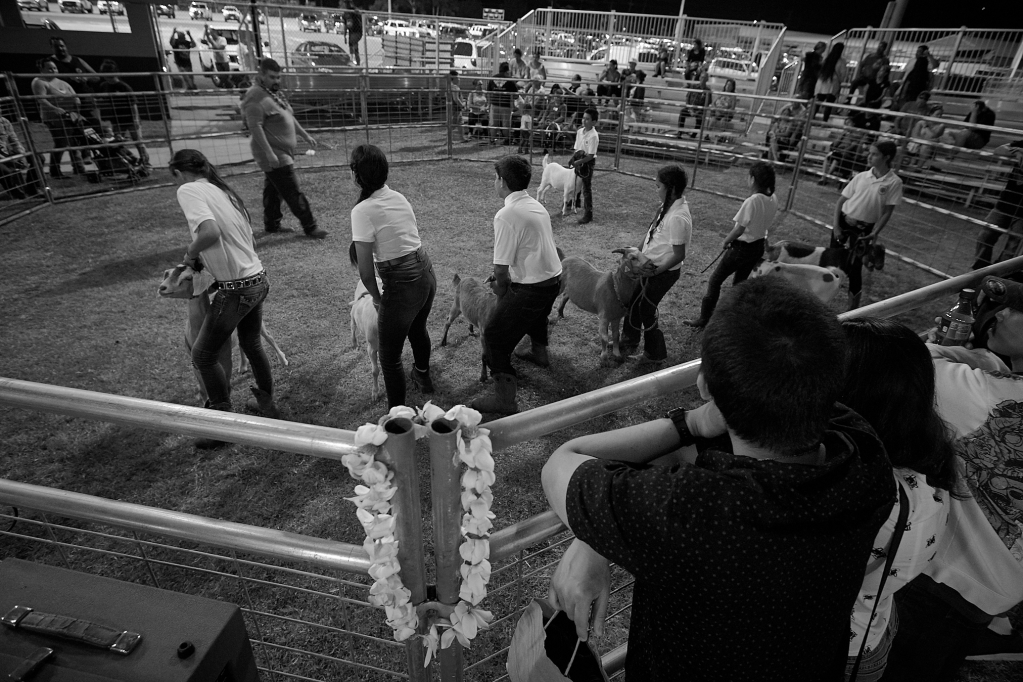 Kauai County Fair 2018 by Peter Adams.