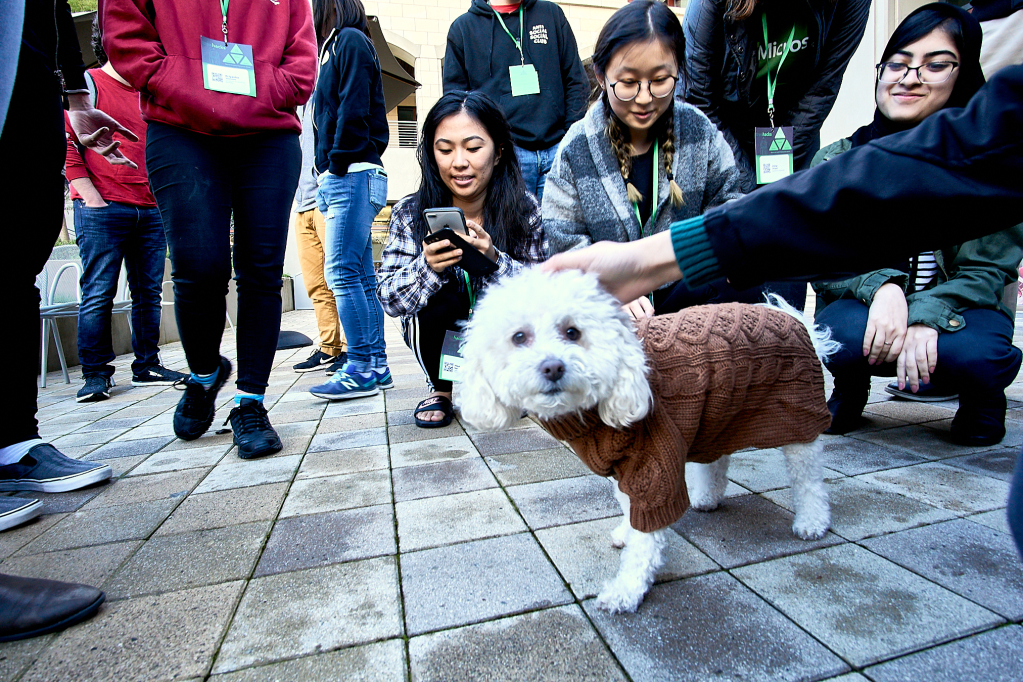 TreeHacks Hackathon by Peter Adams.