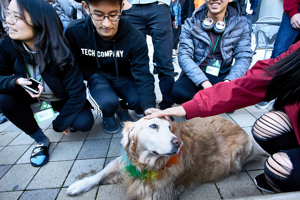 TreeHacks Hackathon by Peter Adams.